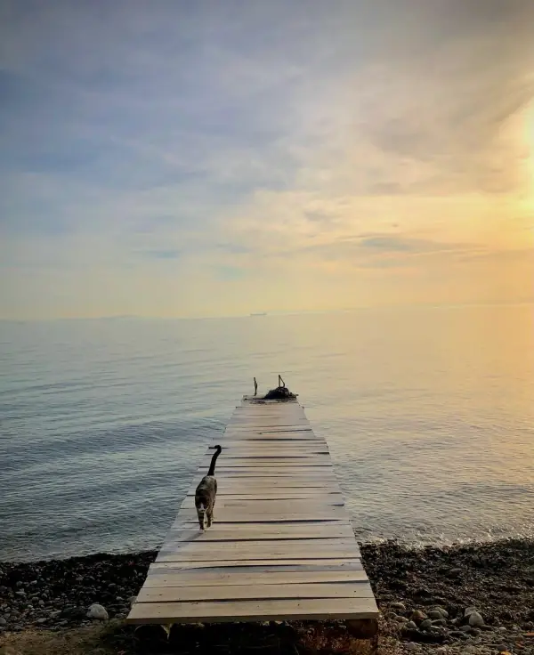Minimalistlik ve Minimalistler: Az'ın İçinde Çok Kavramı