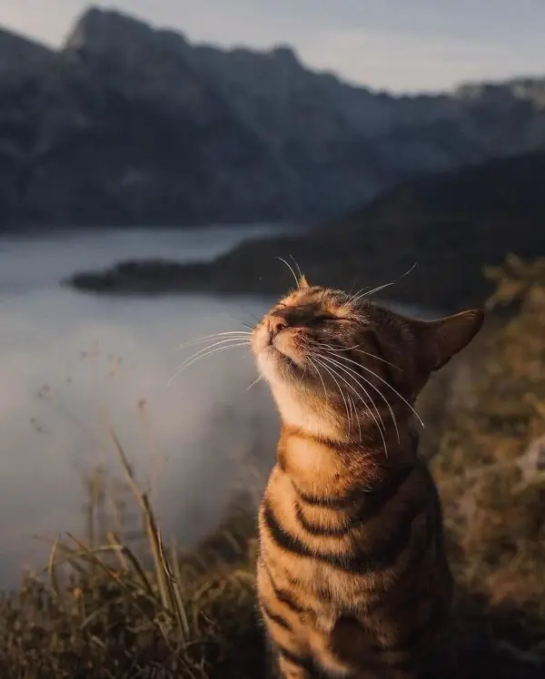 Sabah Rutinlerinde Mindfulness